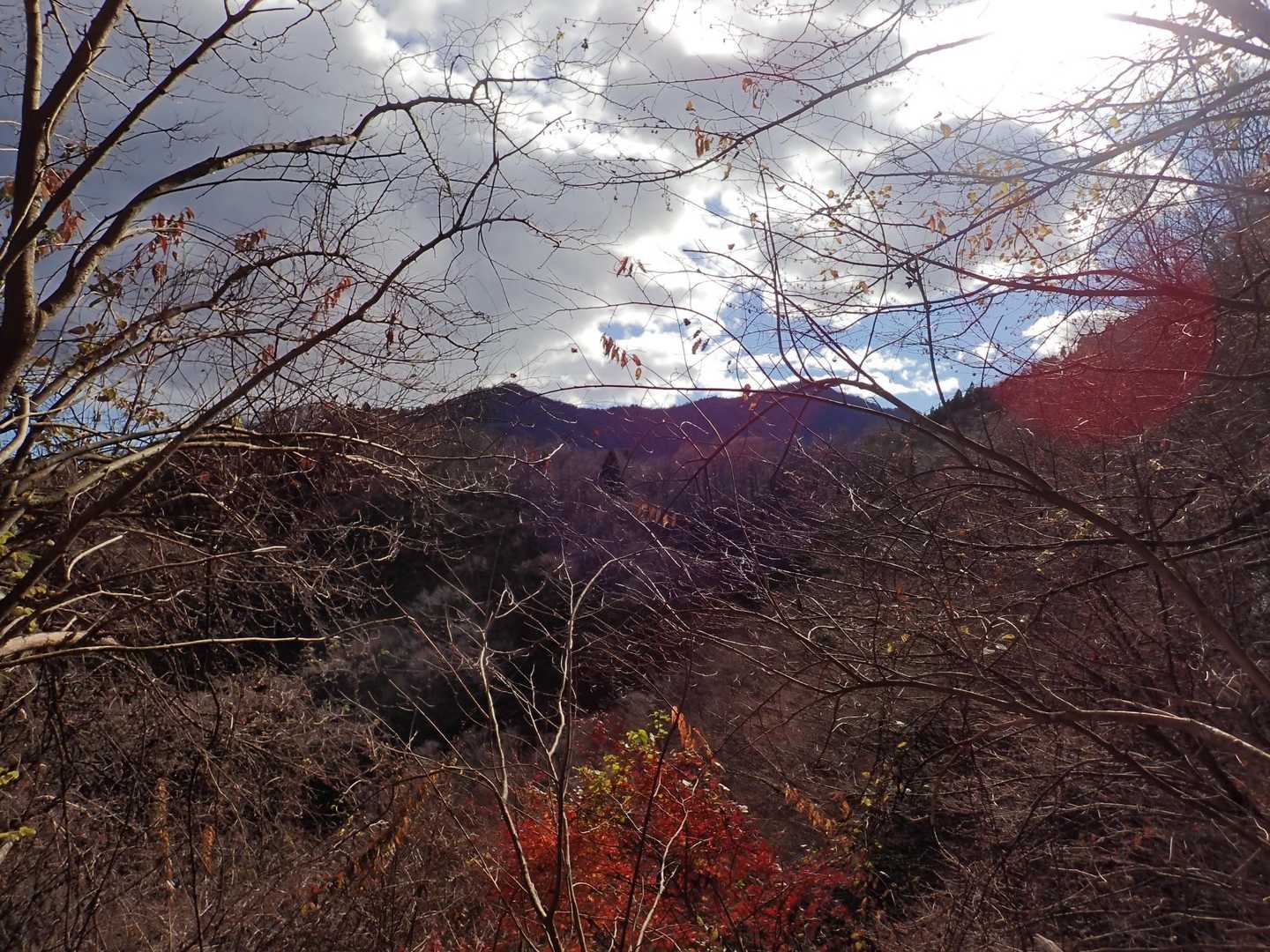 遠くに山が見えて、あれがさっき登ってた‥！と言ってみたら
全然違うと言われました😂そんな日。