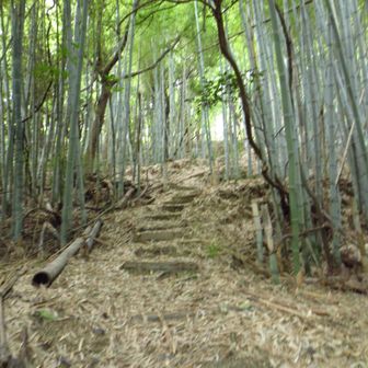 今日イチの急登
