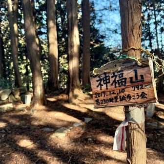 神福山山頂❣️
