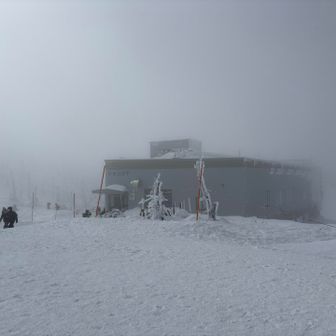 強風で思考停止状態
寒さへの順応ってなかなか難しい
カメラを取り出す気にもならない
