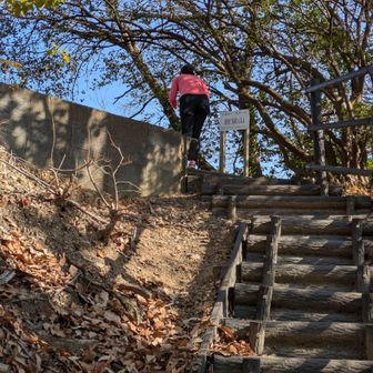 5月までにとにかく足腰を鍛えねばならぬ💪
来月あたりから猿投山で足作ろうかね💪

なんと弟夫婦と姪っ子が登山したい！
って言ってるから
来月猿投山を案内する予定なんだー✨
甥っ子たちもくるから楽しみー🤗