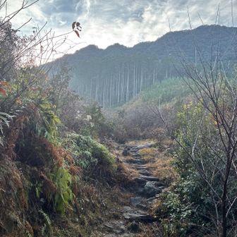 いざスタート▶️

双石山は堆積岩が隆起してできた山で、周囲の岩を見ると変化に富んだ岩々を眺める事が出来ます
