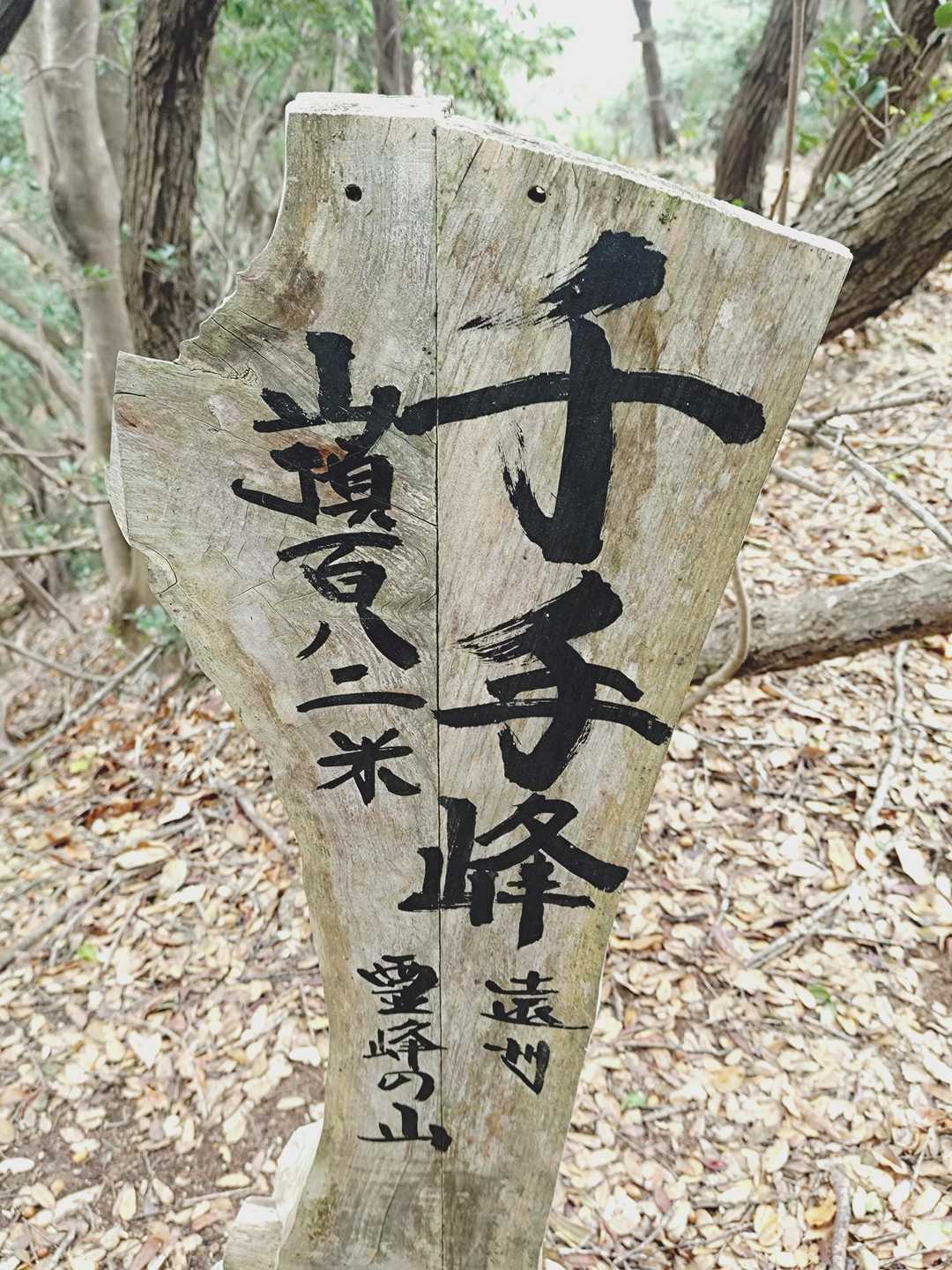 山頂