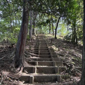 東高山の山頂写真を忘れた💦
この階段を登ると鐘撞堂山⭐️