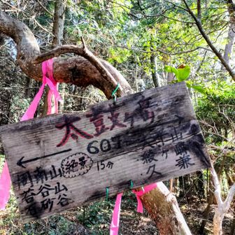 3座目：太鼓ヶ岳登頂🙌607m