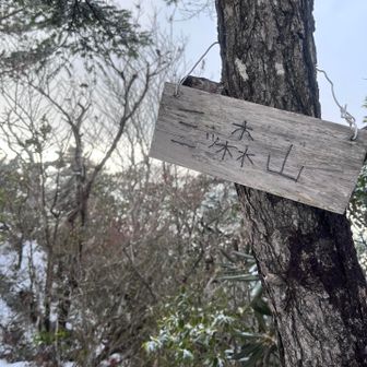 ４座目　ミツ森山
