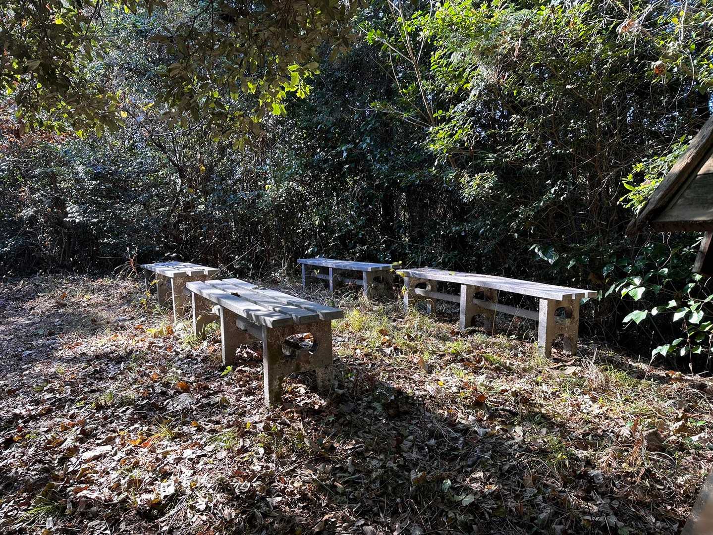 気になった　石のベンチ🪨
よく割れないもんだ