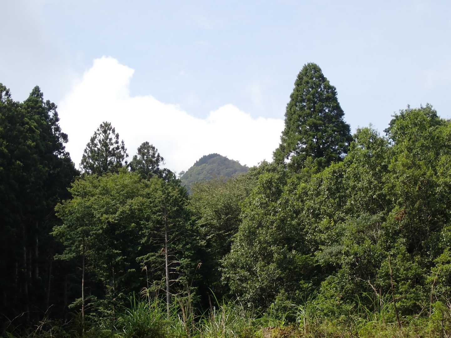 青空をみると、顔がほころぶ。
アルプスは今季、とてもとても遠いけど、健康であれば、いつかまた行ける気がする。