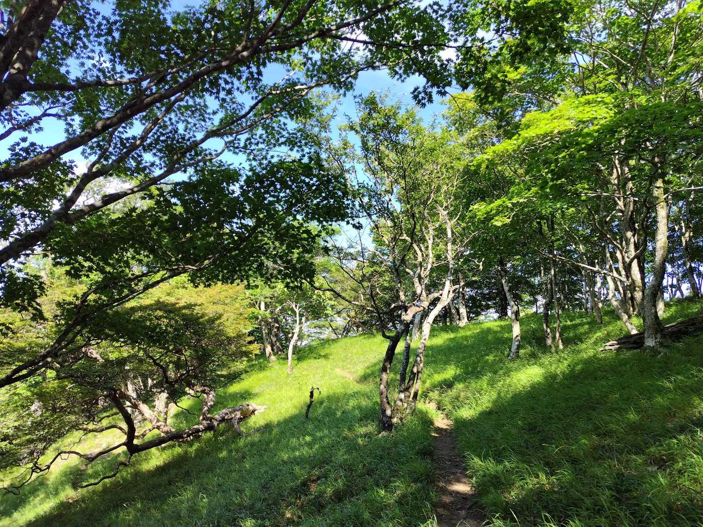 静かな道🎶