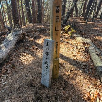 春日山登頂！意外とあっさり到着しました
