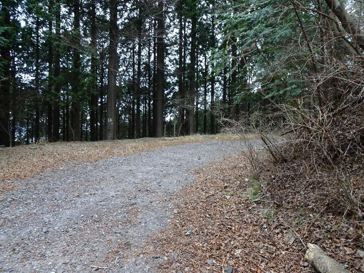 乙女峠バス停を降りて、バス進行方向に少し登ったところが登山口。
車止めのロープ？鎖？が渡してあるので、その横を通過。
ちょっと霰がぱらついていてびっくりしたけど、大丈夫でした