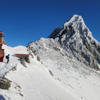 穂先は降りたての雪が表面に付いたって感じ❄トラさん曰く今日はそんなに難しくなさそうとのこと🐯