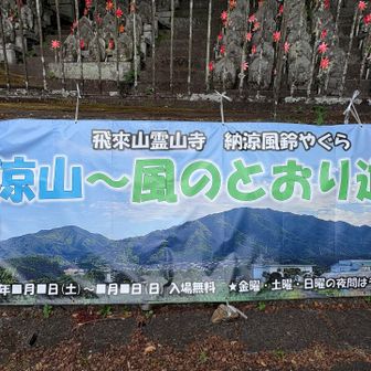 やっぱり涼山だった🎐😊