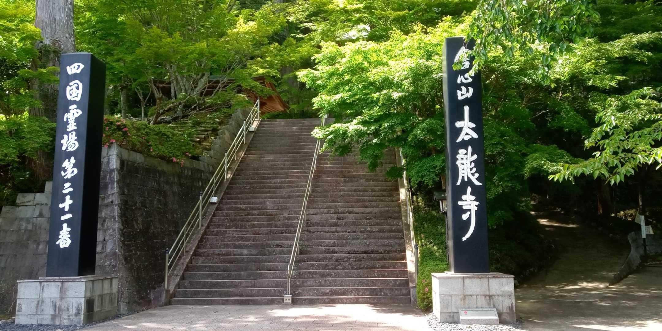 太竜寺山 往復コースの写真