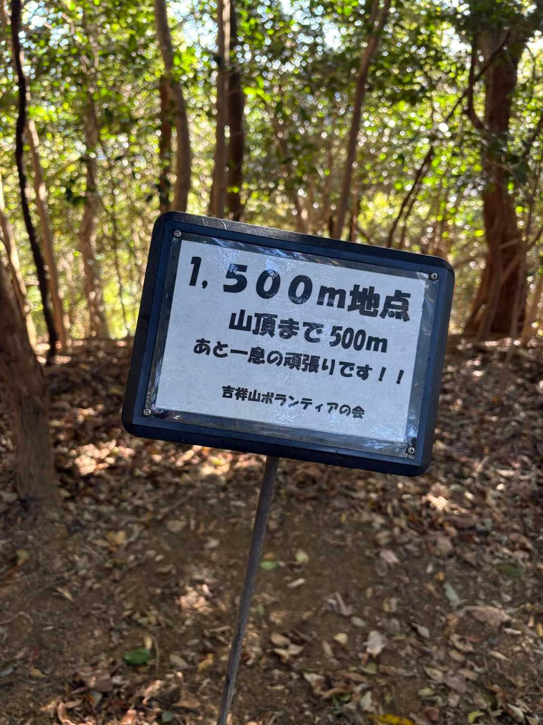 頑張ります‼︎