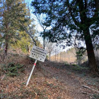 平成２０年に植林された様です。