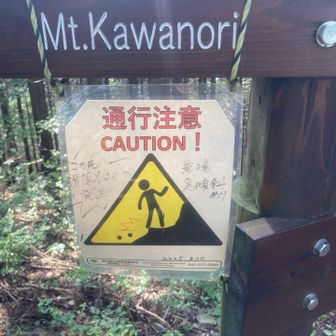 この先、鋸尾根方面。急登が始まります。