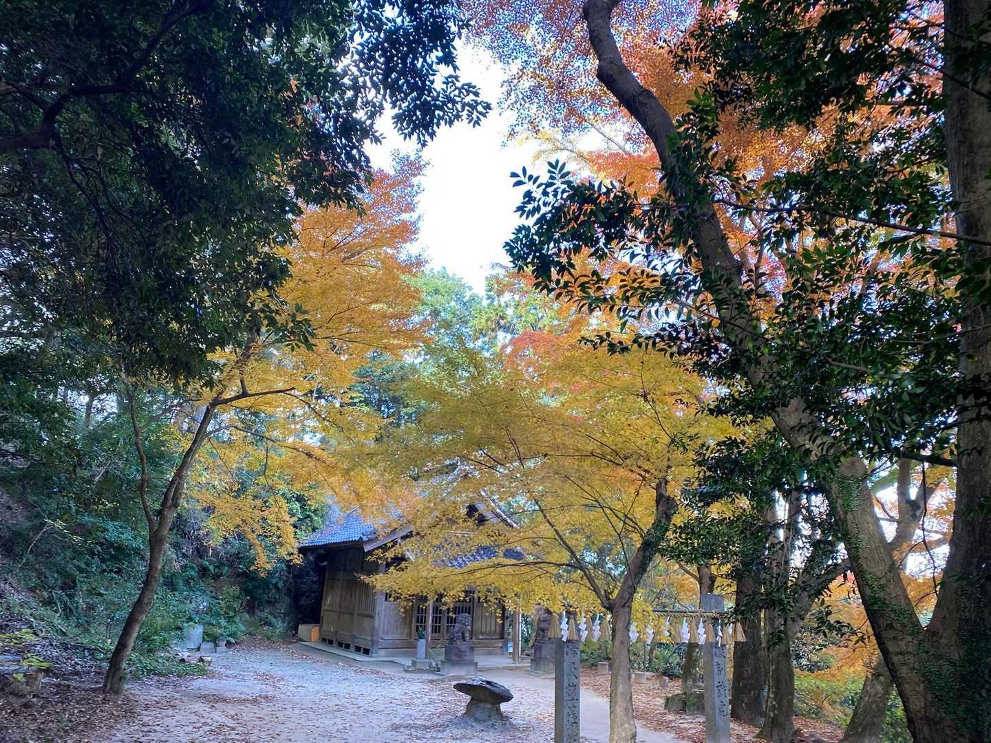 ここも紅葉がキレイ😍
