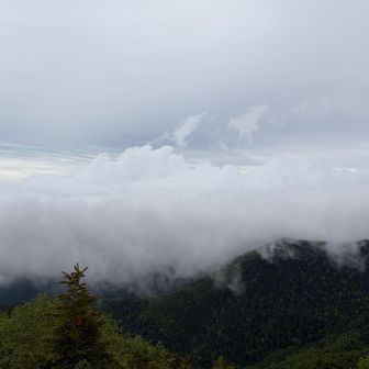 やはり富士山は顔を出さない恥ずかしがり屋🗻
