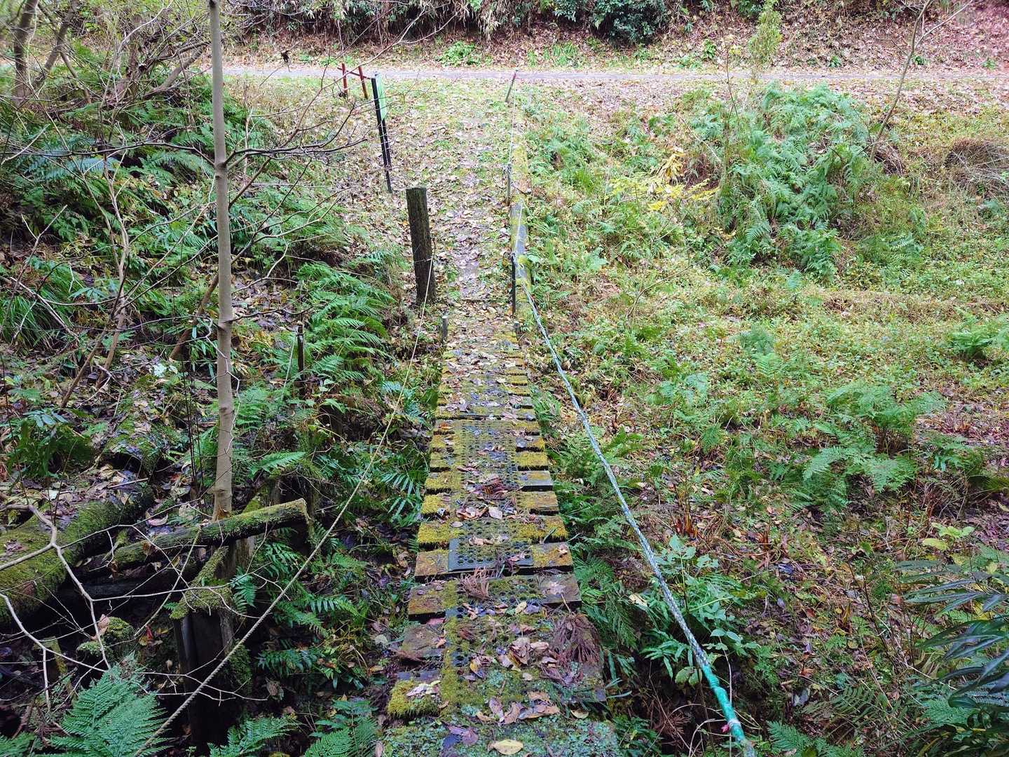 この橋を渡ると車道です