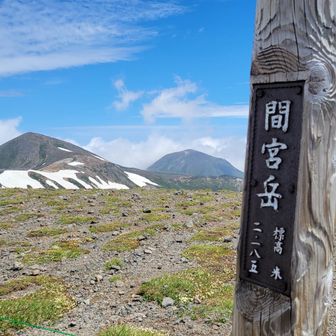 間宮岳