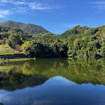 池の景色、綺麗だなぁ😍