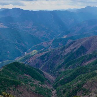 光のシャワーが降り注ぐ✨