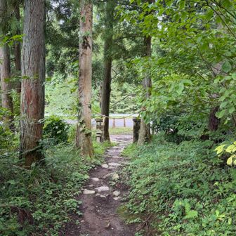 下山です