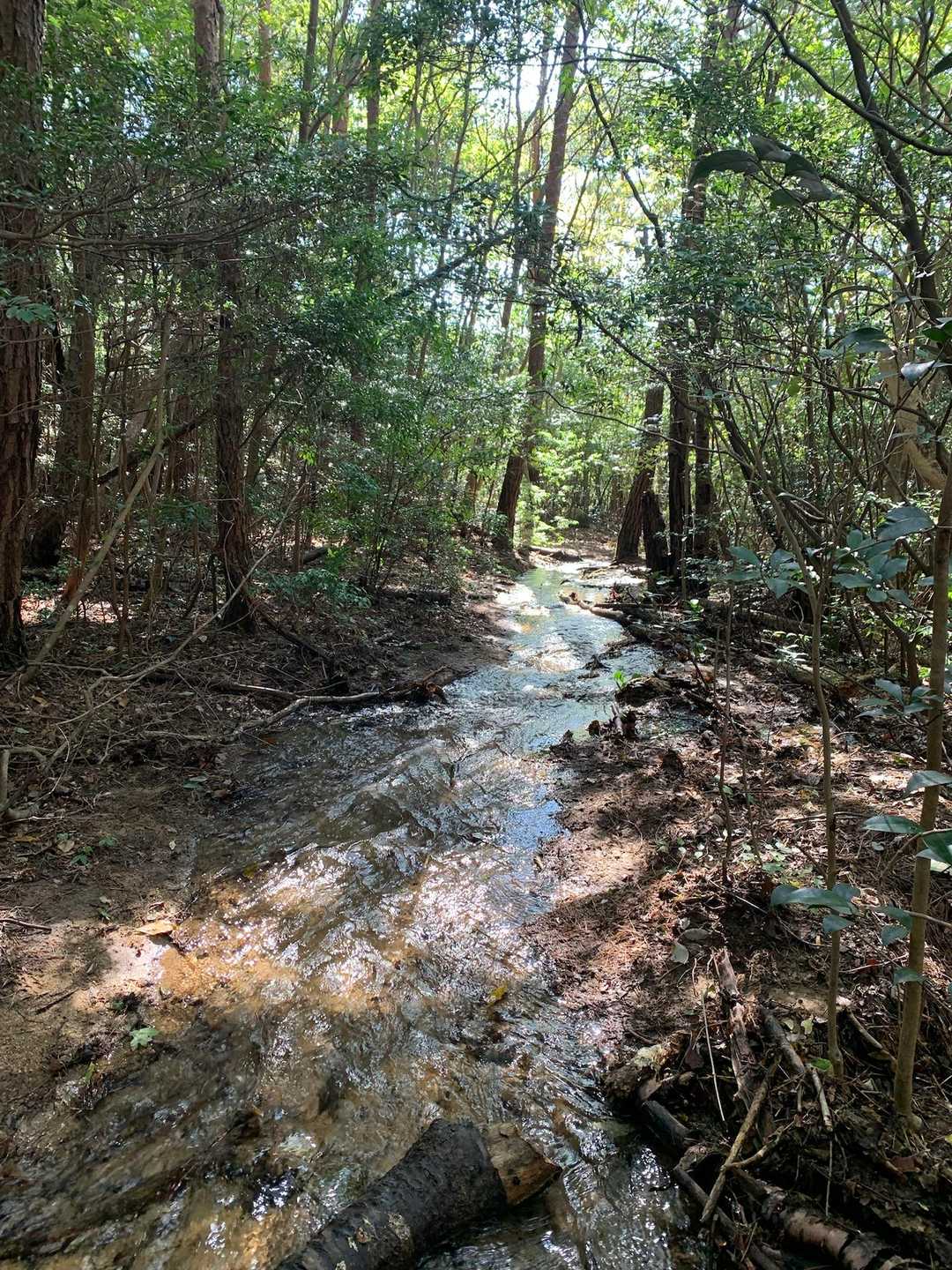 登山道が小川のようになってます💦