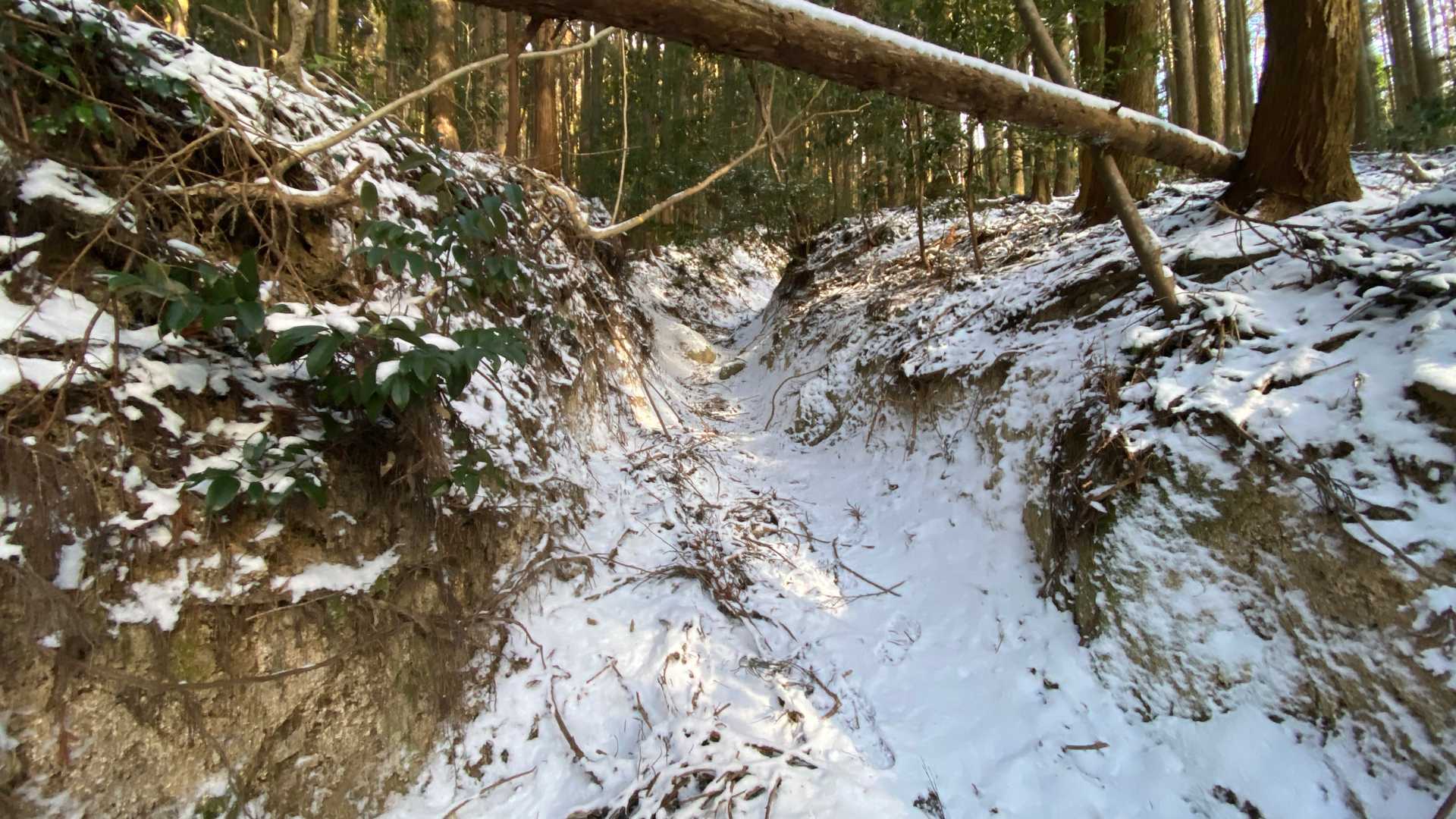 栗の木登山口-作礼山 往復コースの写真