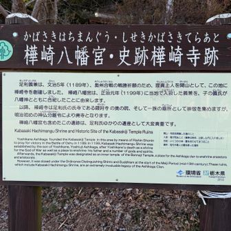 樺崎八幡宮到着
参拝して帰りましょう🙏