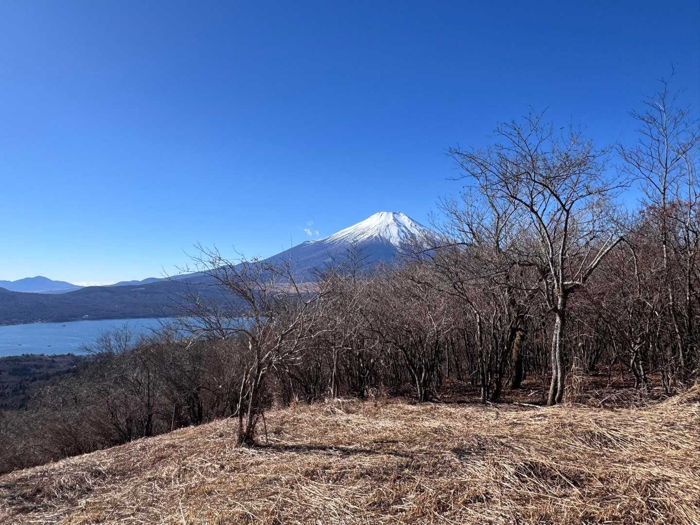 大窪山⛰️
何もないけどずっと綺麗な富士山…🗻✨