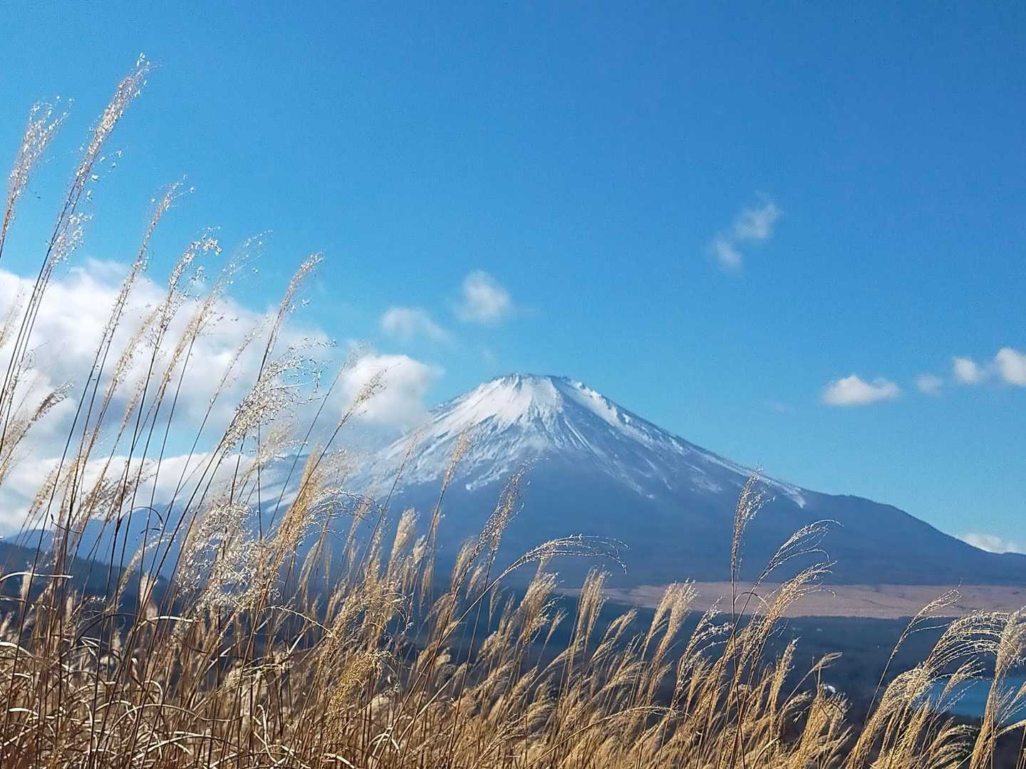 籠坂峠バス停-アザミ平-大洞山-楢木山-三国山-三国峠-鉄 縦走コースの写真