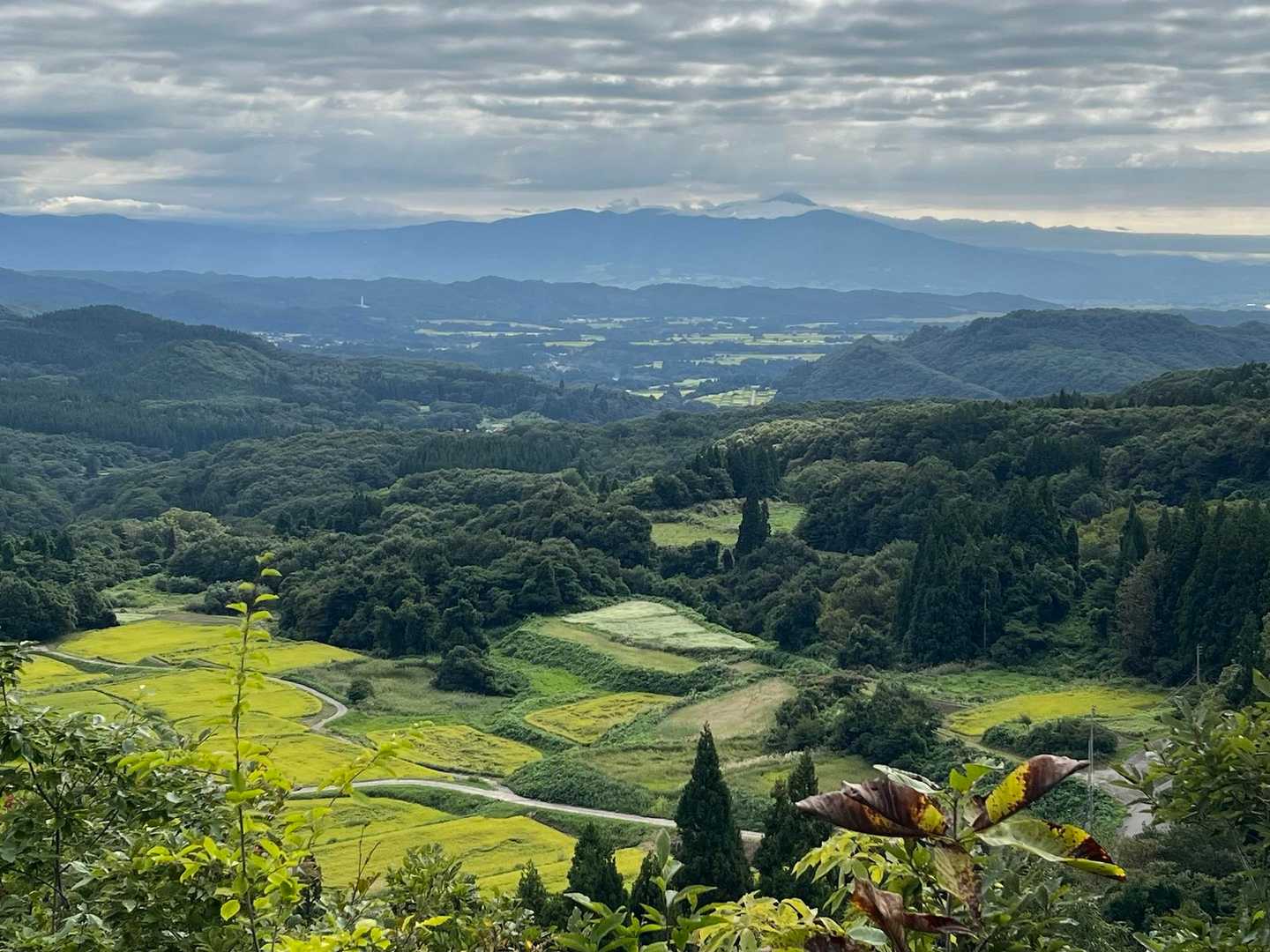 立岩山から棚田越しの磐梯山⛰️
今日は、棚田ウォークを行っていました