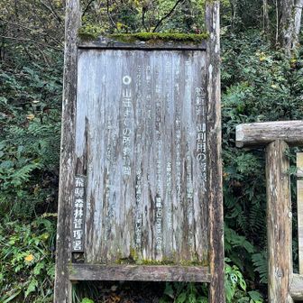 なぬなぬココが1350mくらいなのか