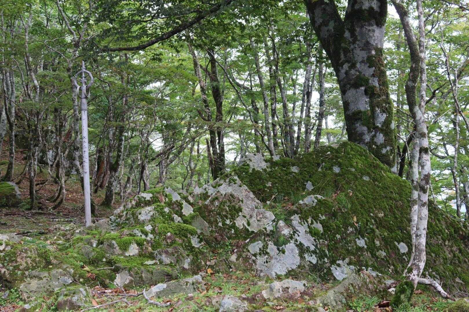 鉄山-修覆山-弥山-聖宝ノ宿跡-弁天ノ森-弥山登山口 周回コースの写真