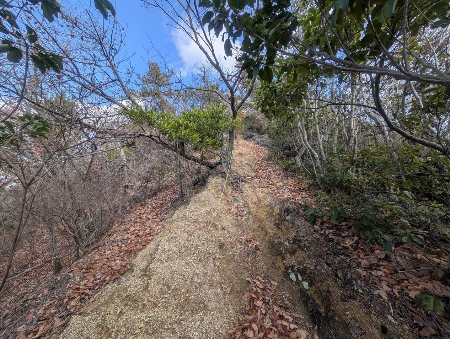 花ヶ岳 周回コースの写真