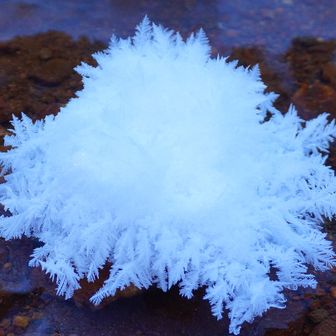 まるまるお化け