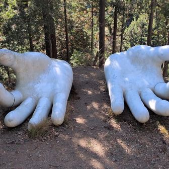 ホワイトハンド