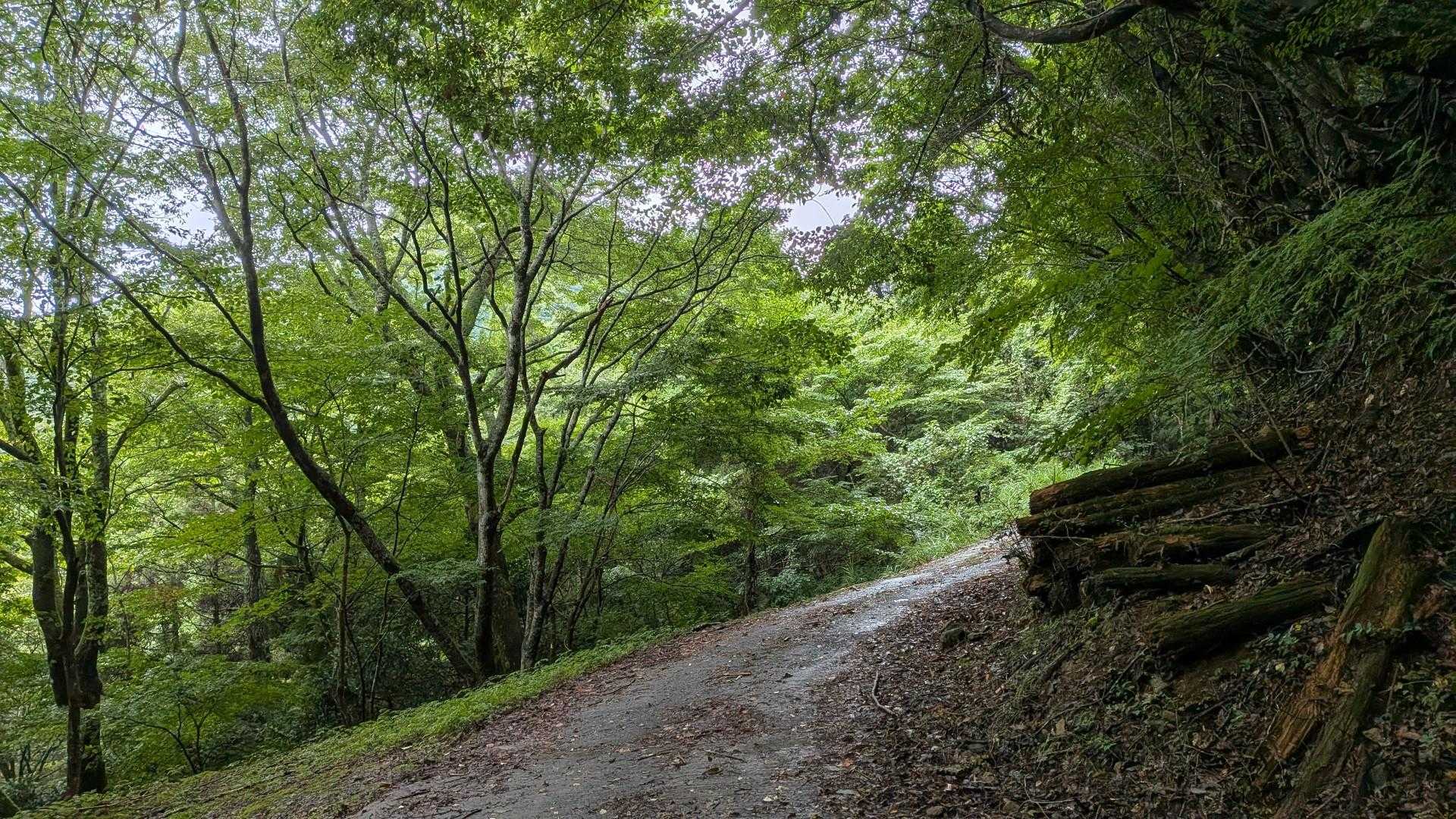 尺間神社-平家山-平家山登山口 周回コースの写真