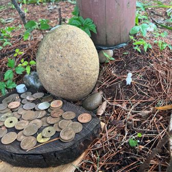 白い小人気になる…
お地蔵さんのマスコット？