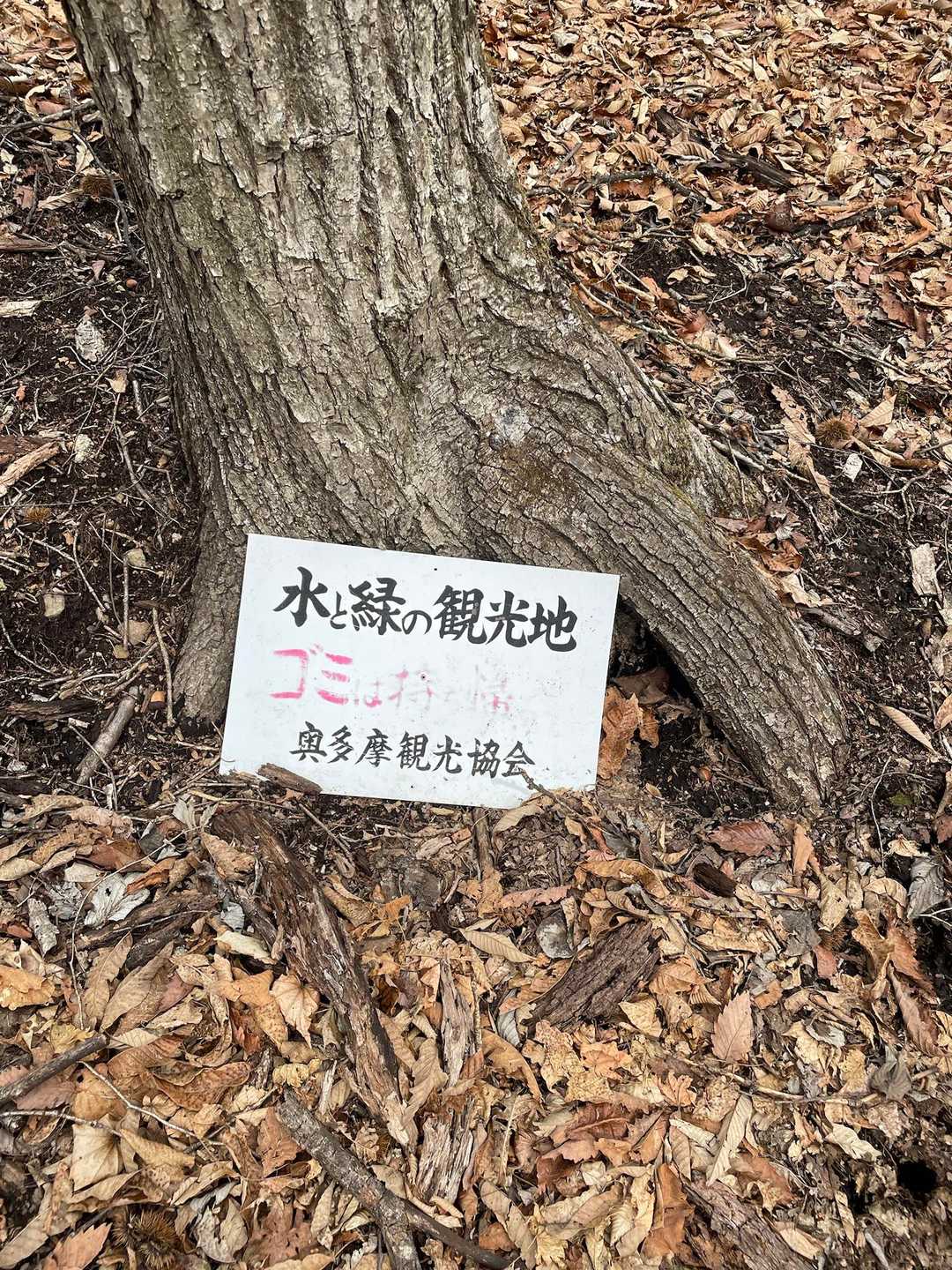 観光地の周りは落ち葉がいっぱい🍂