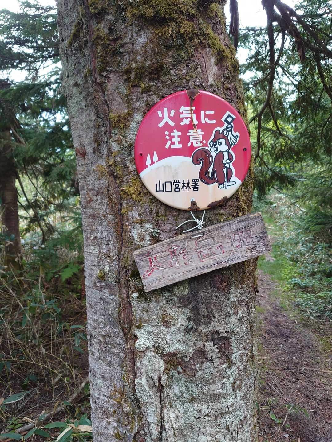 大杉岳 往復コースの写真