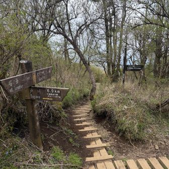 ジャンクション笑😆ここら戸川方向へ。