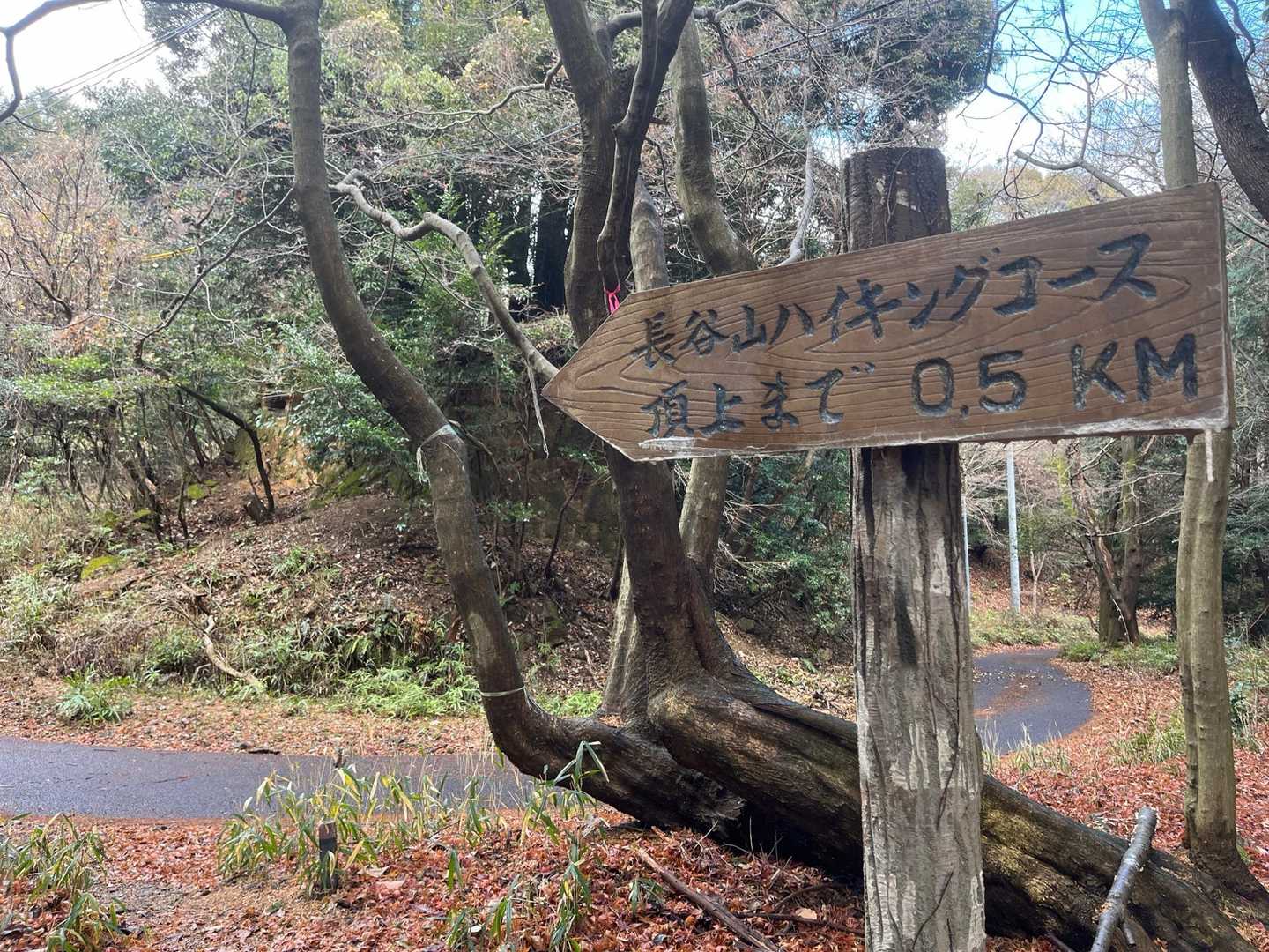 車道に再び出る
