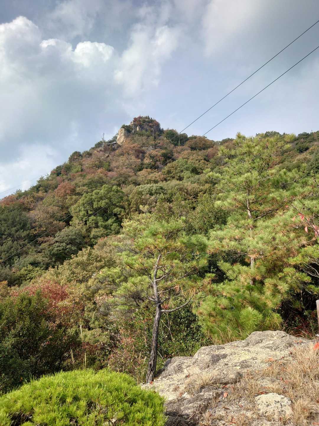 黒滝山の山頂が見えてきました～