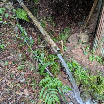 昨日雨が降ったからか勢いがいい。早明浦ダムは相変わらずのようだが。