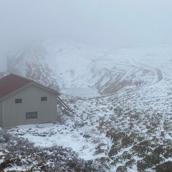 ヒュッテ🛖さん
相変わらず、ビックリ顔🤣