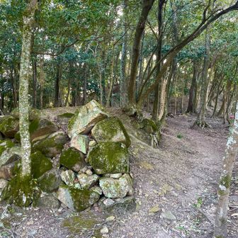 500年前の龍野古城の石垣が幾つか残っている。