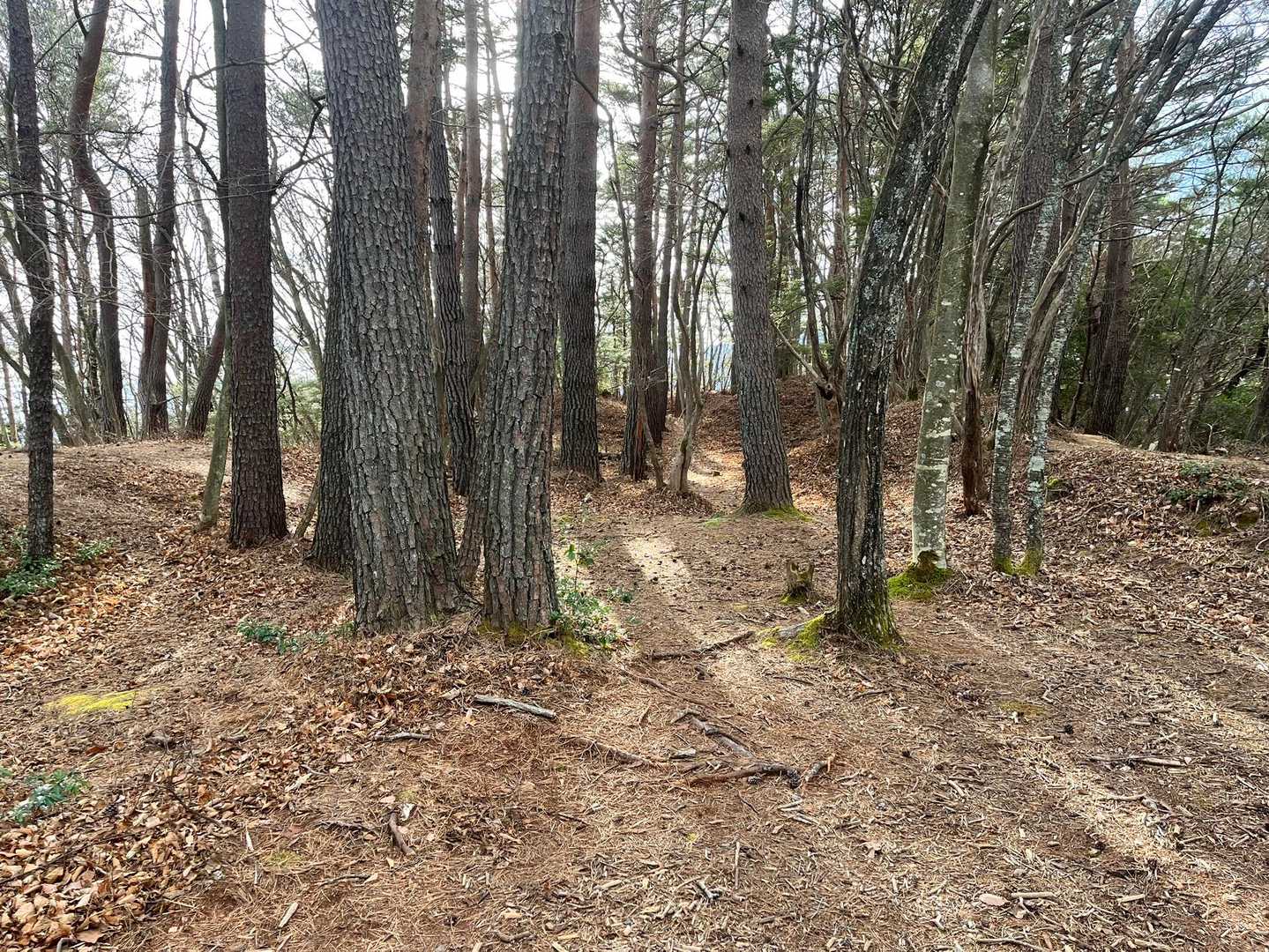 中山は中山砦という城山です
山頂は土塁に囲まれています